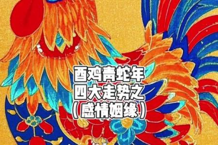 属鸡人2025年蛇年全年运势详解，事业财运健康感情完整解析