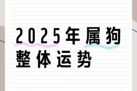 2025年属狗女性全年运势详解，事业财运和健康方面需要注意什么？