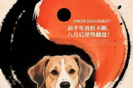 1982年属狗人2025年每月运势详解及财运健康感情全面解析