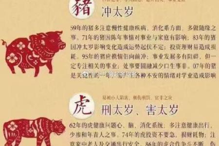 2025年属狗的人虚岁和周岁分别怎么计算，有什么讲究？