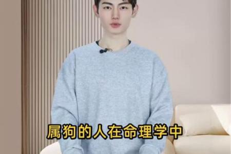 属狗的人命中注定有两段婚姻吗？如何化解二婚命理危机？