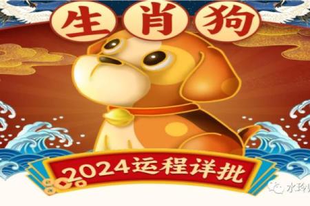 属狗人2024年全年运势运程详解，事业财运和健康需要注意哪些方面？