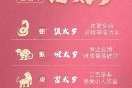 1982年属狗的人2025年每月运程如何化解太岁提升运势指南