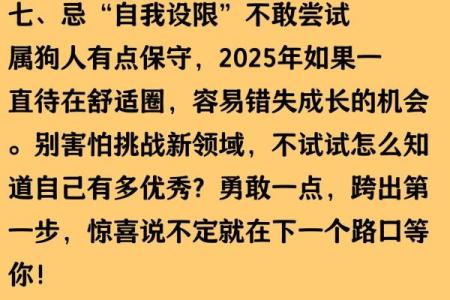 属狗的人2025年每月运程如何？完整运势分析报告