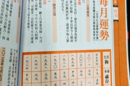 生肖属狗的人2025年全年运势详解及每月运程完整分析报告