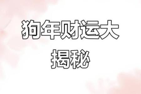 2025年属狗人财运事业运势如何以及需要注意哪些问题