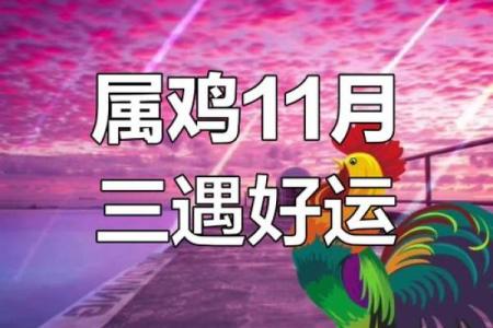 2024年属鸡人全年运势详解，财运事业健康感情完整解析