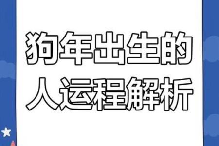2025蛇年属狗人的全年运势详解，看看事业财运健康有何变化