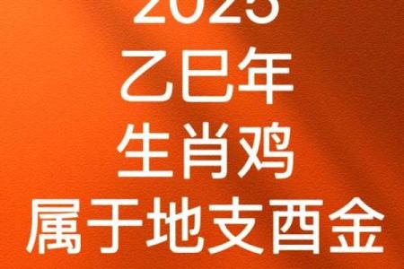 2025年1981年属鸡女性事业财运和健康运势如何？需要注意哪些方面？