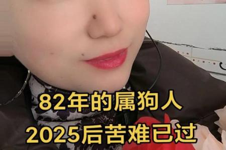 1982年属狗的人2025年运势如何，真的能苦尽甘来吗？