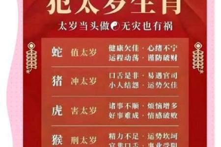属鸡男2025年每月运程预测，如何化解太岁提升整体运势指南