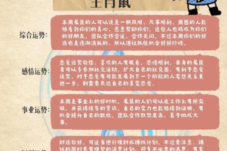 2025年属鸡人的全年运势详解，财运健康事业感情全面解析