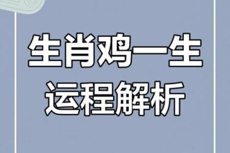 2026年属鸡的每月运程和得把眼睛擦亮了完整版