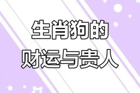 1970年出生的属狗人在2025年健康财运事业感情全面运势分析