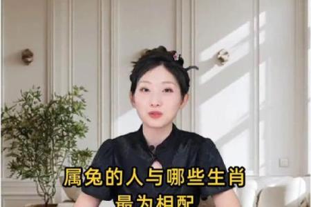 属兔和属鸡的夫妻结局如何？有什么方法可以化解生肖不合