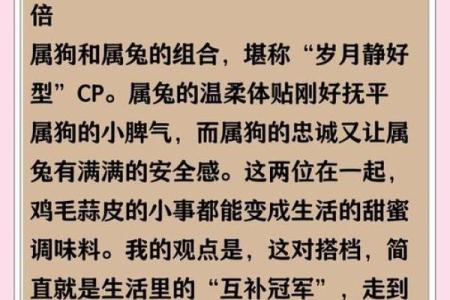 属狗的人和属兔的人结婚会幸福吗？婚姻配对情况解析