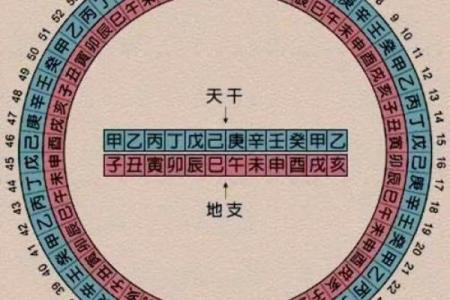 2024年属鸡人的全年运势如何？详解每月吉凶方位及化解太岁方法