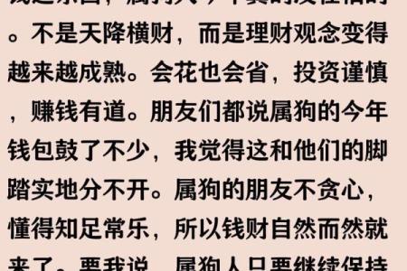 1982年属狗2025年运势详解：事业财运健康感情全年运程预测