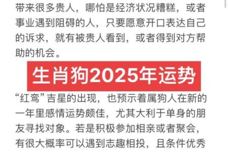 2006年属狗的人在2025年多大年龄了，具体怎么计算？