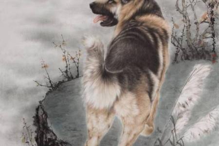 1994年属狗2025年运势详解，全年每月运程完整版分析