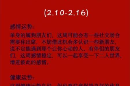 82年出生的生肖狗2025年事业财运和健康运势如何破解太岁
