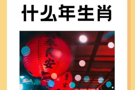 2024年不同年份属龙的人年龄对照表，我今年几岁？