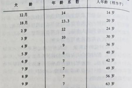2024年属狗的人今年多大了？完整年龄对照表查询