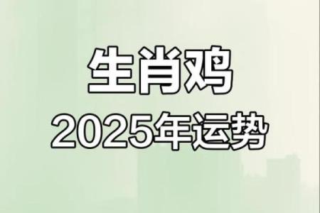 属鸡人2025年运势详解及每月运程完整版