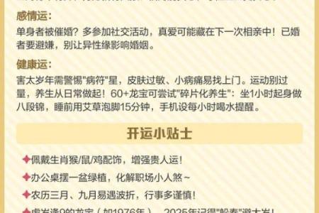 2025年属龙的人虚岁和周岁分别怎么计算，有什么区别？