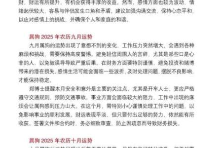 属狗的人2025年整体运势如何？事业财运和健康方面需要注意什么