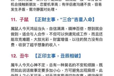 黄金岁月把金淘是什么生肖 黄金岁月把金淘生肖查询