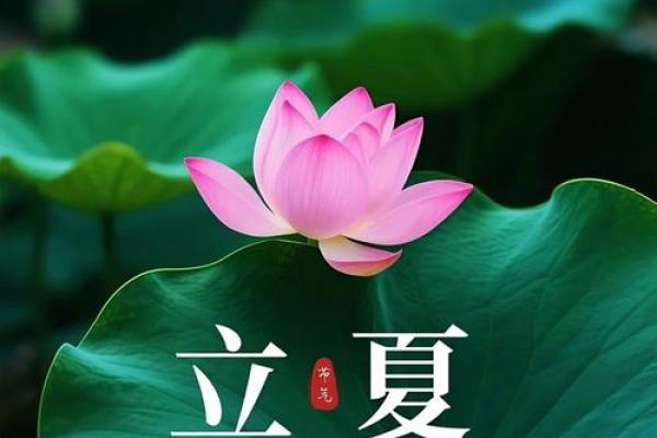 2021年立夏具体是几月几号几点几分开始? 2021年立夏具体是几月几号几点几分开始?