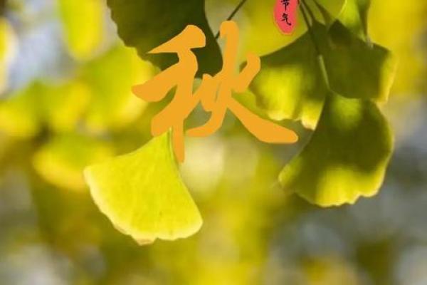 2022年立秋节气是早上还是晚上?当天有什么传统习俗? 2022年立秋节气是早上还是晚上?当天有什么传统习俗?
