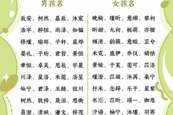 2017年最新女孩名字大全,包含诗经楚辞典故 2017年最新女孩名字大全,包含诗经楚辞典故