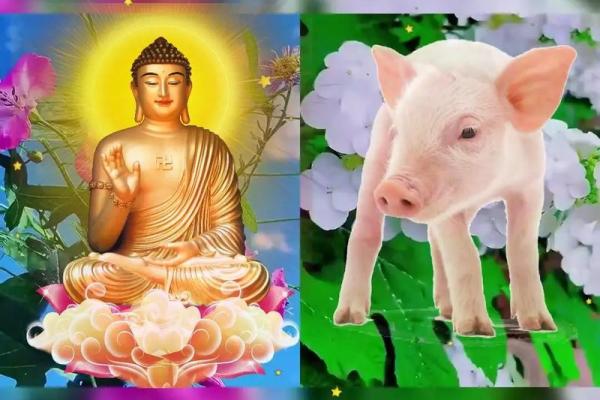 鸟语花香什么生肖 鸟语花香代表哪个生肖