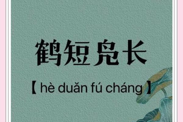 风声鹤唳打一生肖 成语风声鹤唳指什么动物