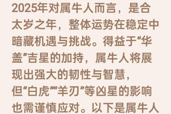 97年属牛男2025年结婚好日子(97年牛明年结婚好吗) 97年属牛男2025年结婚好日子(97年牛明年结婚好吗)