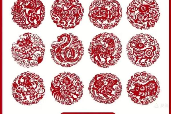 雨后春笋打一个生肖 雨后春笋代表什么生肖