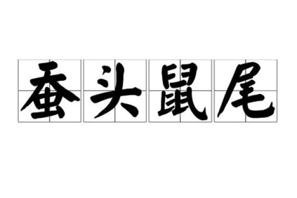 鼠头鼠尾打一生肖 鼠头鼠尾猜一生肖答案