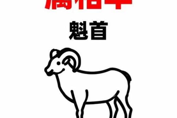 鼠头鼠尾打一生肖 鼠头鼠尾猜一生肖答案