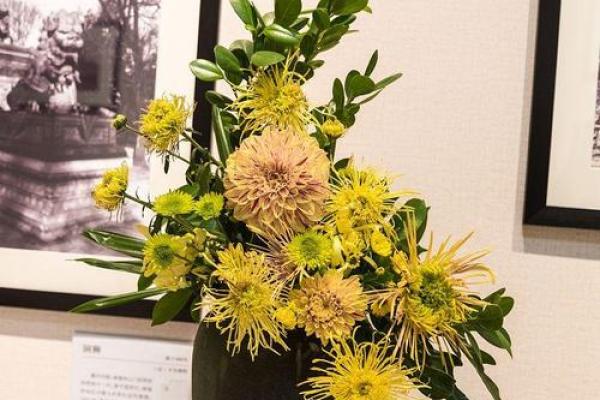 黄花女儿打一准确生肖 黄花闺女代表哪个生肖