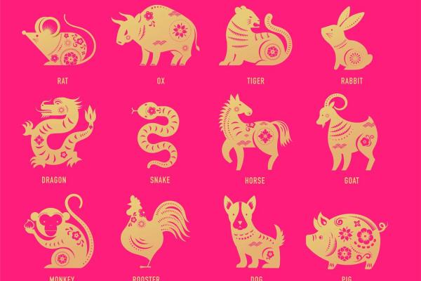 骂狗打鸡猪在笑”是什么生肖 骂狗打鸡猪在笑对应属相 骂狗打鸡猪在笑”是什么生肖 骂狗打鸡猪在笑对应属相