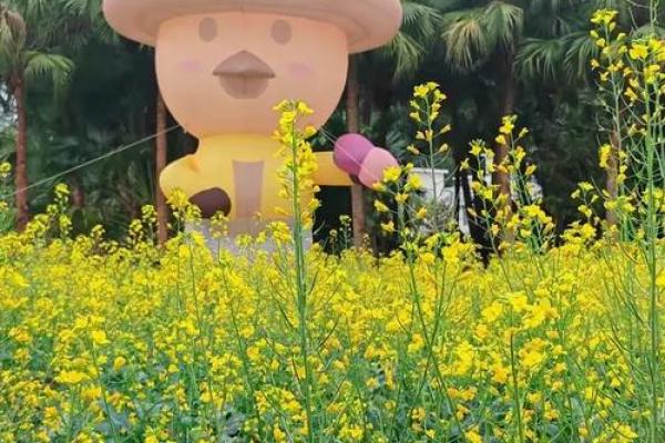 韶光似箭”打一准确生肖 韶光似箭打一生肖谜底解析 韶光似箭”打一准确生肖 韶光似箭打一生肖谜底解析