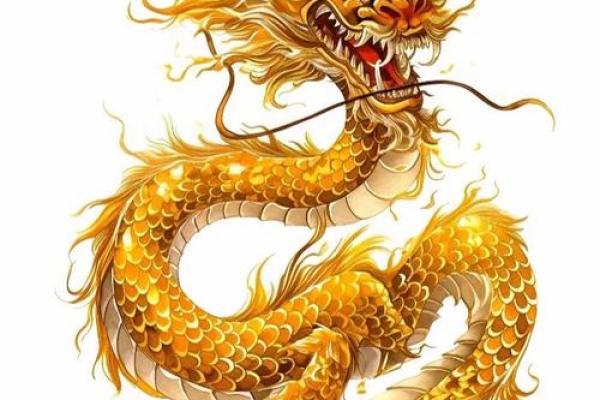 1988年出生的命运详解:属龙人一生运势和性格特点分析 1988年出生的命运详解:属龙人一生运势和性格特点分析