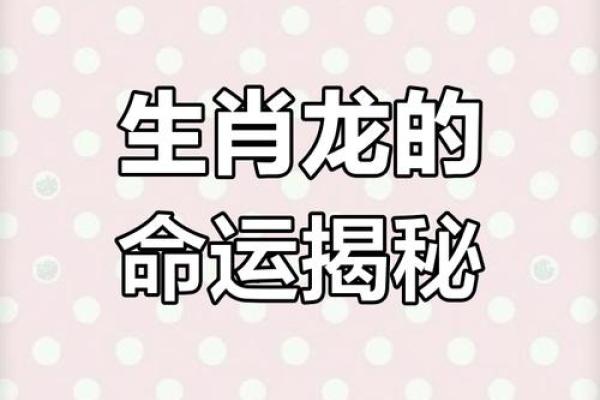 1988年出生的命运详解:属龙人一生运势和性格特点分析 1988年出生的命运详解:属龙人一生运势和性格特点分析
