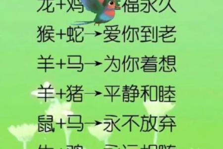 鸟语花香是什么生肖 鸟语花香代表哪个生肖