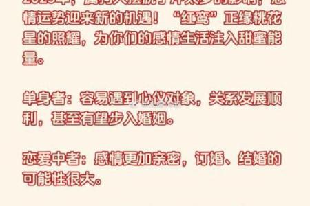 2025年属龙女感情婚姻运势如何？会有正缘出现吗？
