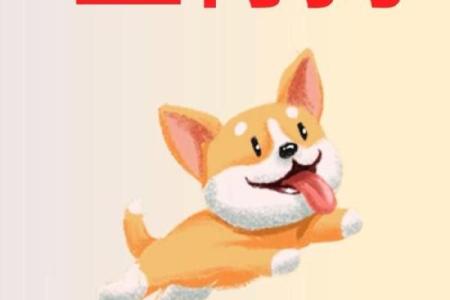 2025年属狗人全年每月运势详解及运程完整版