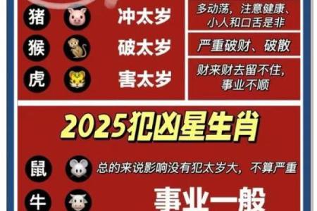 属狗的人2025年犯太岁需要注意哪些方面和禁忌？