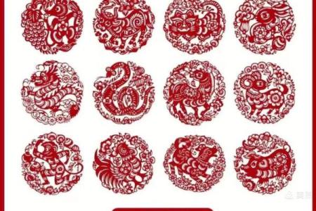 雨后春笋打一个生肖 雨后春笋代表什么生肖